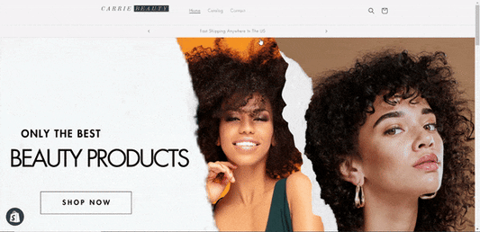 Shopify Store Set up